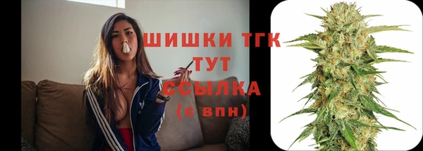 стаф Козельск