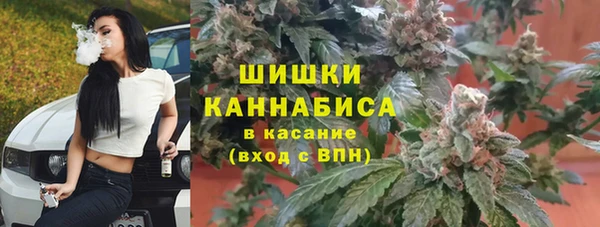 стаф Козельск